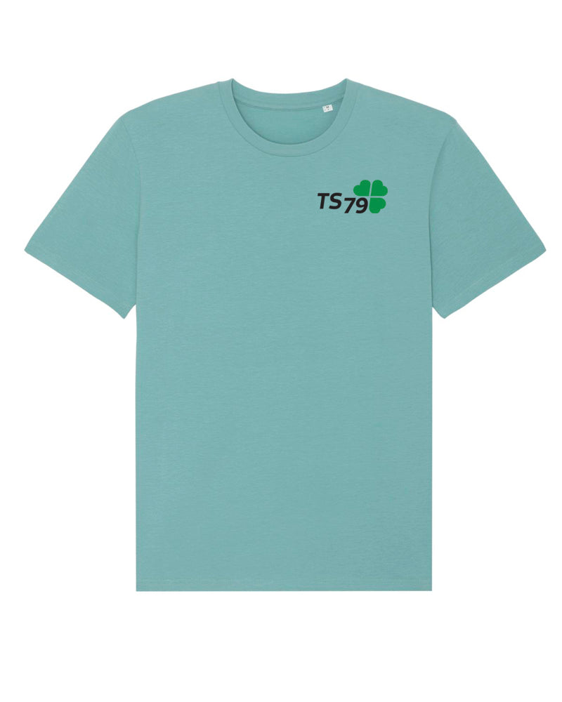 TS 79 | Shirt | men | teal