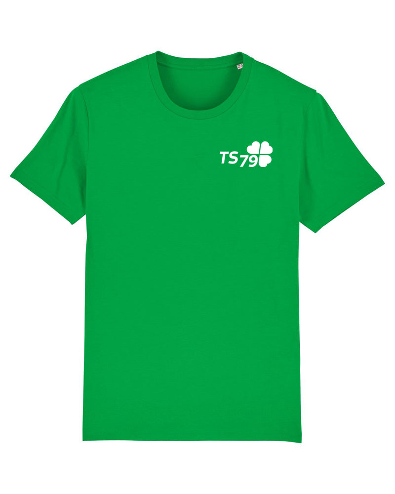 TS 79 | Shirt | men | green